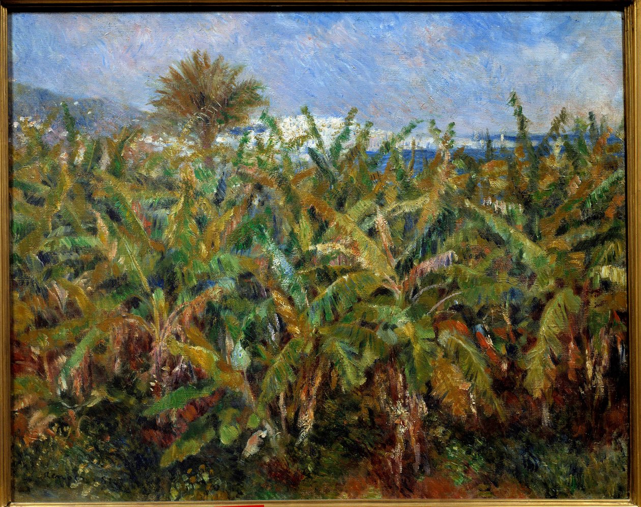 Un champ de bananas Maleri av Pierre Auguste Renoir (1841-1919) 1881 Søn. 0,51x0,63 m Paris, musee d