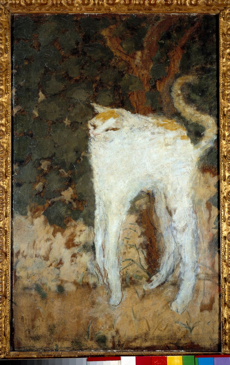 Den hvite katten av Pierre Bonnard