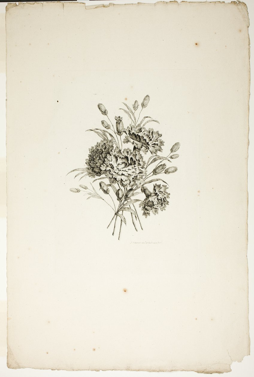Bukett med nelliker, fra samling av forskjellige blomsterbuketter, oppfunnet og tegnet av Jean Pillement og gravert av P. C. Canot av Pierre Charles Canot