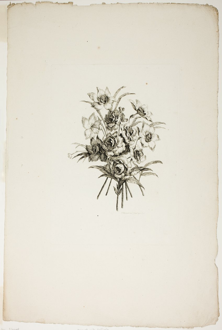 Bukett med påskeliljer, fra samling av forskjellige blomsterbuketter, oppfunnet og tegnet av Jean Pillement og gravert av P. C. Canot av Pierre Charles Canot