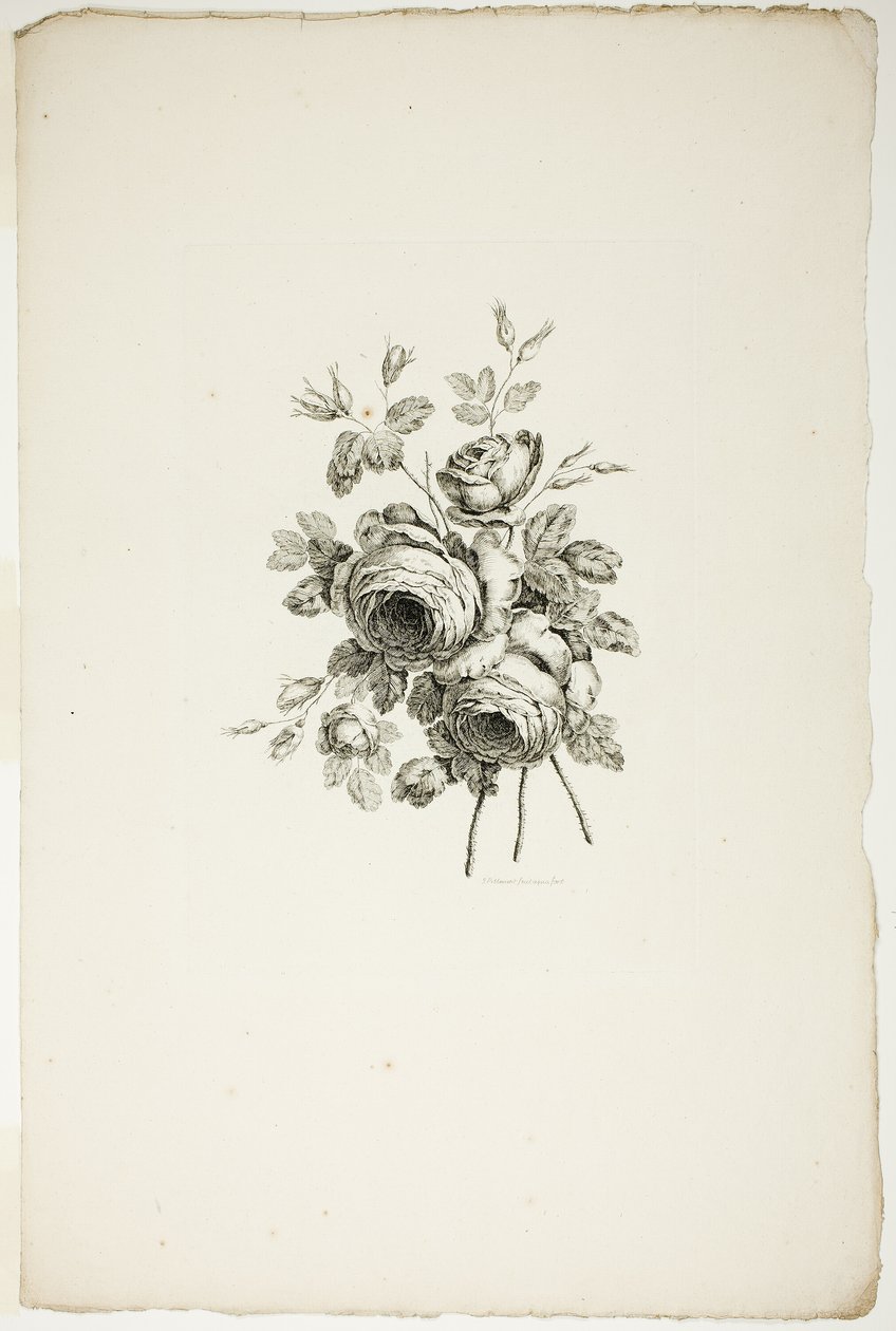 Bukett med roser, fra samling av forskjellige blomsterbuketter, oppfunnet og tegnet av Jean Pillement og gravert av P. C. Canot av Pierre Charles Canot