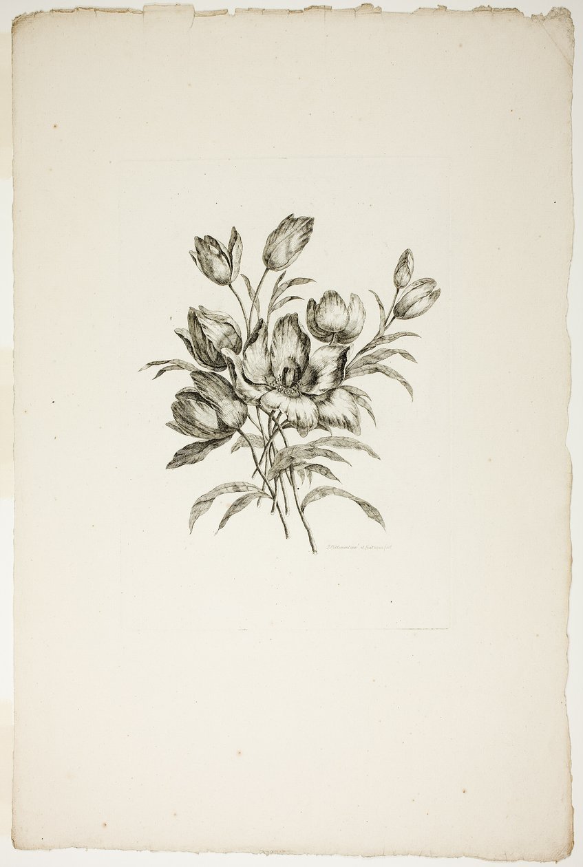 Bukett med tulipaner, fra samling av forskjellige blomsterbuketter, oppfunnet og tegnet av Jean Pillement og gravert av P. C. Canot av Pierre Charles Canot