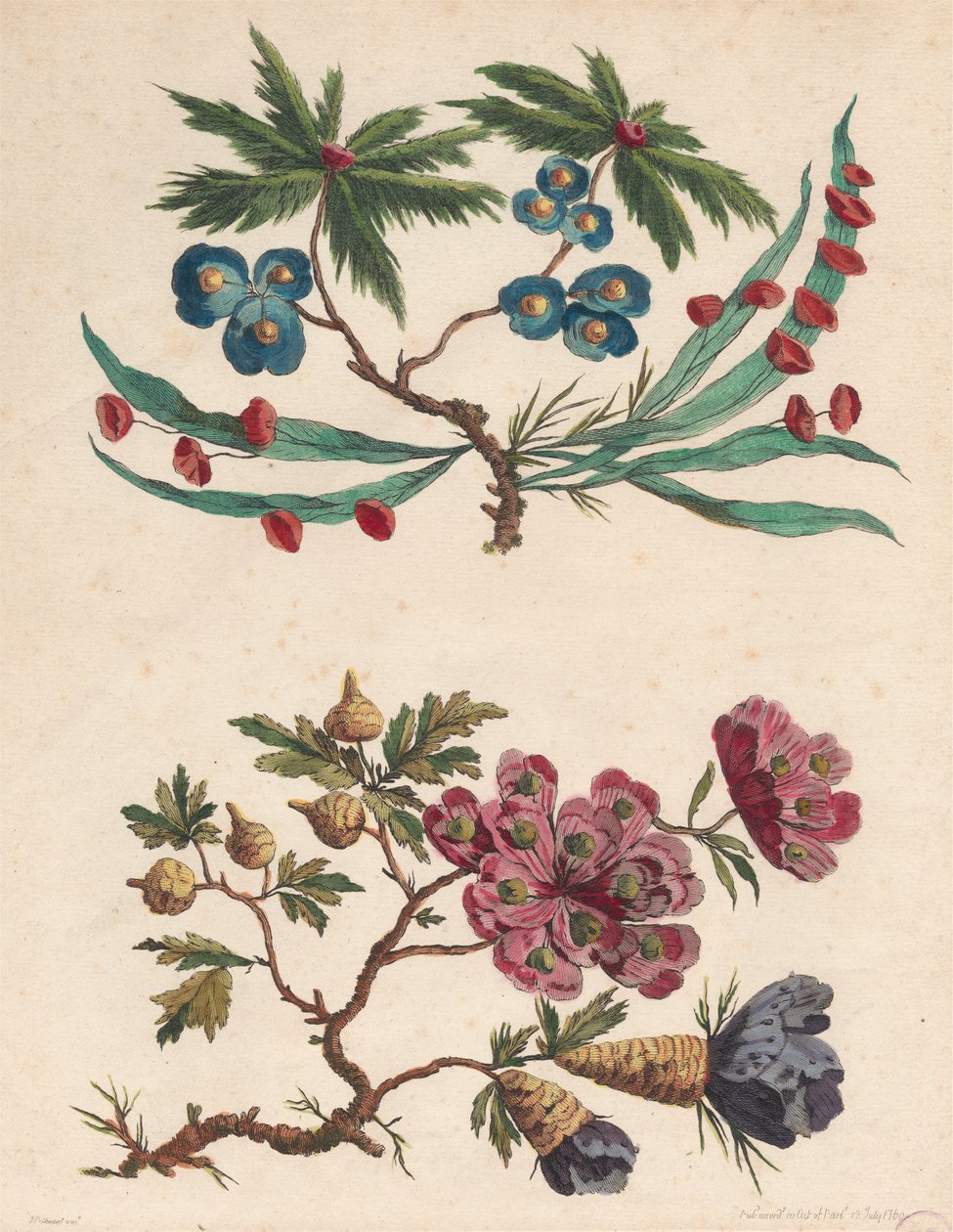 To sprøyter med imaginære blomster av Pierre Charles Canot