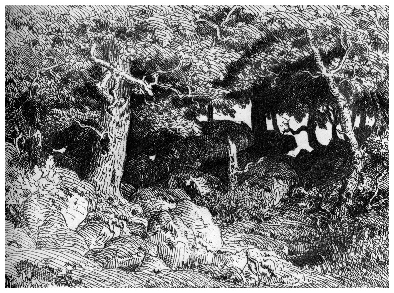 The Chenes de Roche, c1832-1860, 1924 av Pierre Etienne Theodore Rousseau