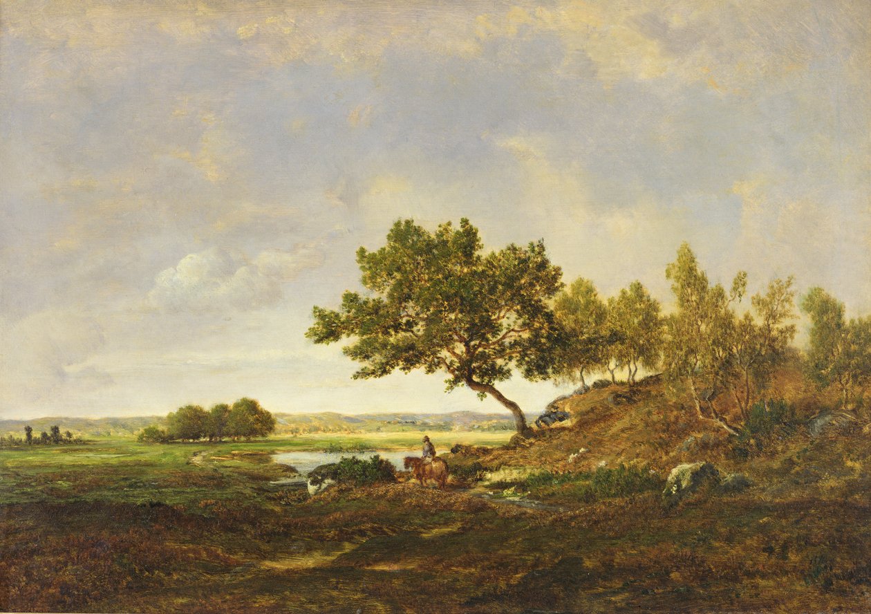 The Pond at the Foot of the Hill, ca. 1848-55 (olje på tre) av Pierre Etienne Theodore Rousseau