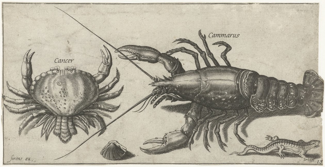 Hummer, krabbe, salamander og et skjell Fiske (serietittel) Piscium vivae-ikoner (serietittel) av Pierre Firens