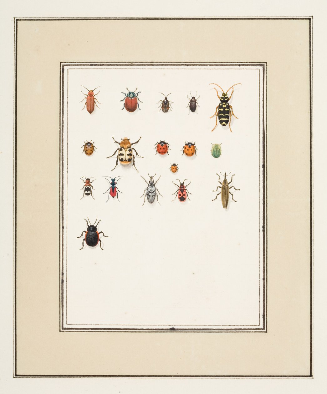 Biller, ca. 1755-65 (akvarell på papir) av Pierre Francois Ledoulx