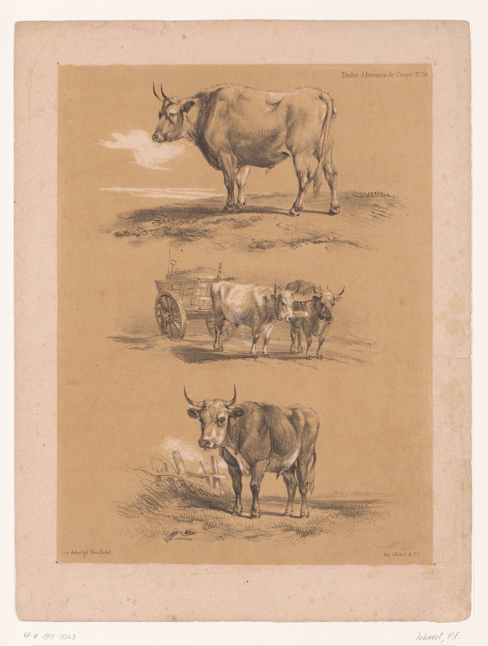Tre studier av okser og oksevogn Dyrestudier av Cooper (serietittel) Études d'Animaux de Cooper (serietittel på objekt) av Pierre Frédéric Lehnert