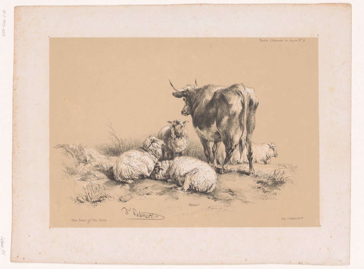 Studies van vier schapen en een koe Dierstudies van Cooper (series title) Études d