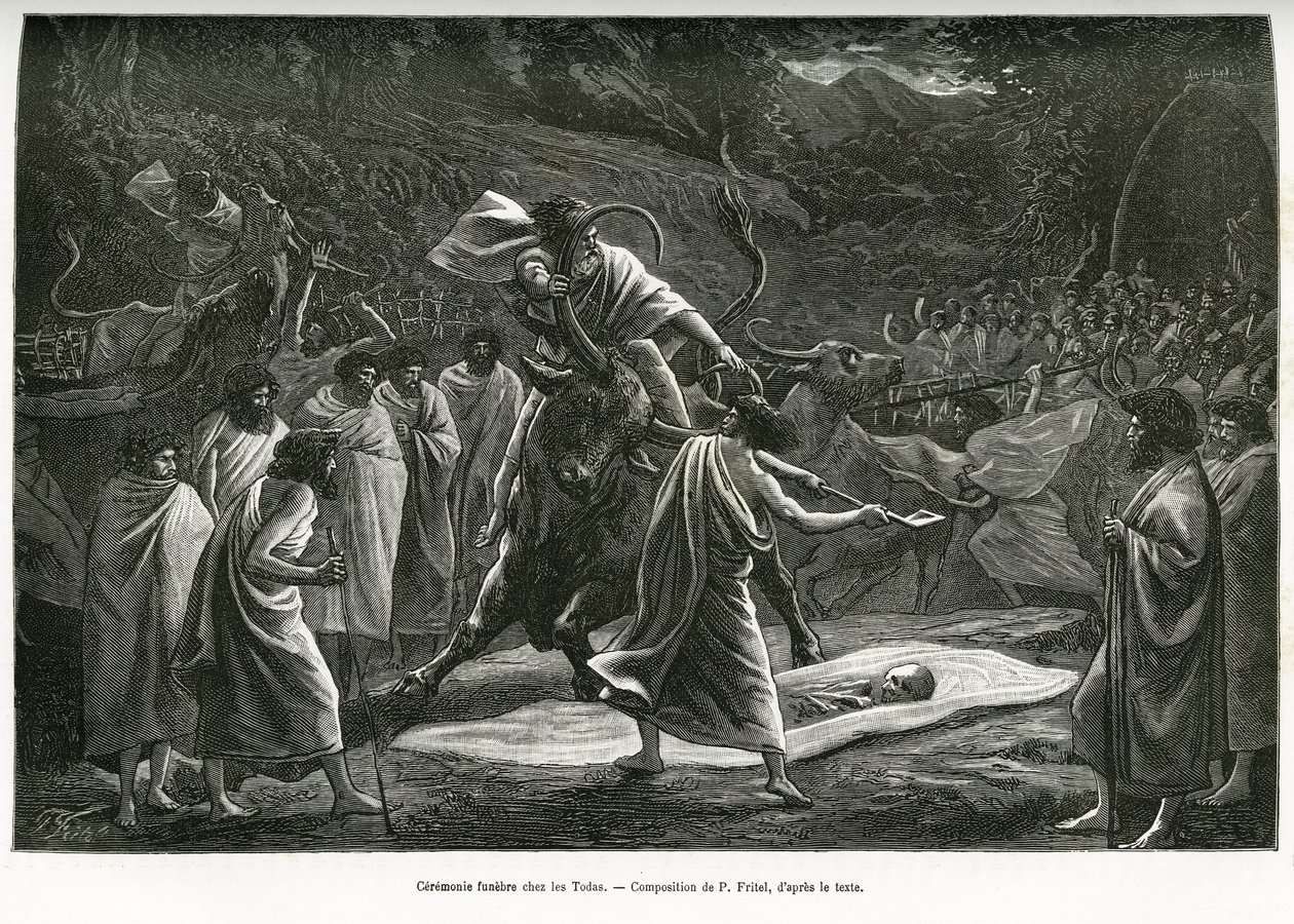 En begravelsesseremoni for Todas, et lite pastoralsamfunn på Nilgiri-platået (Sør-India), under begravelsen, blir storfe ofret. Gravering av P. Fritel, for å illustrere suvenirene fra en reise til Nilgherries, av Madame Janssen, i 1. av Pierre Fritel