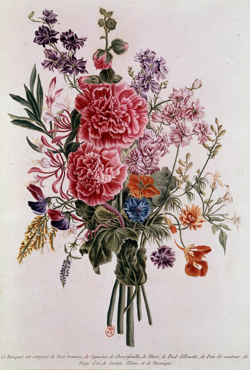 Bukett komponert med roser Litografi av Pierre Joseph Buchoz (1731-1807) Paris fra 1700-tallet, B.N. av Pierre Joseph Buchoz
