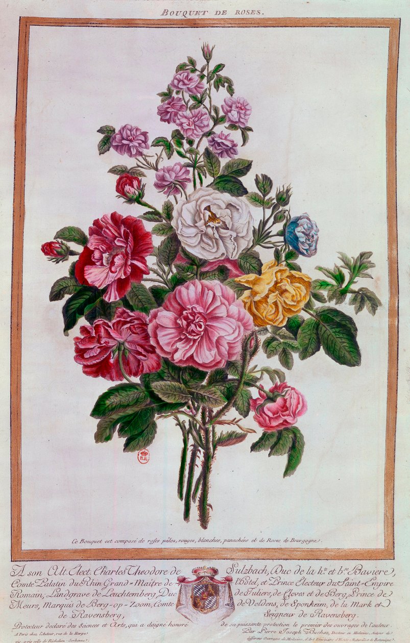 Bukett roser Litografi av Pierre Joseph Buchoz (1731-1807) Paris fra 1700-tallet, B.N. av Pierre Joseph Buchoz