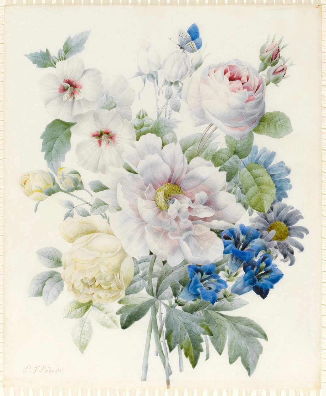 En haug med blomster inkludert en peon, roser, hibiskus, asters, ensian og en imaginær blå sommerfugl (grafitt og wc med spor av gummi arabisk over grafitt på vellum) av Pierre Joseph Redouté