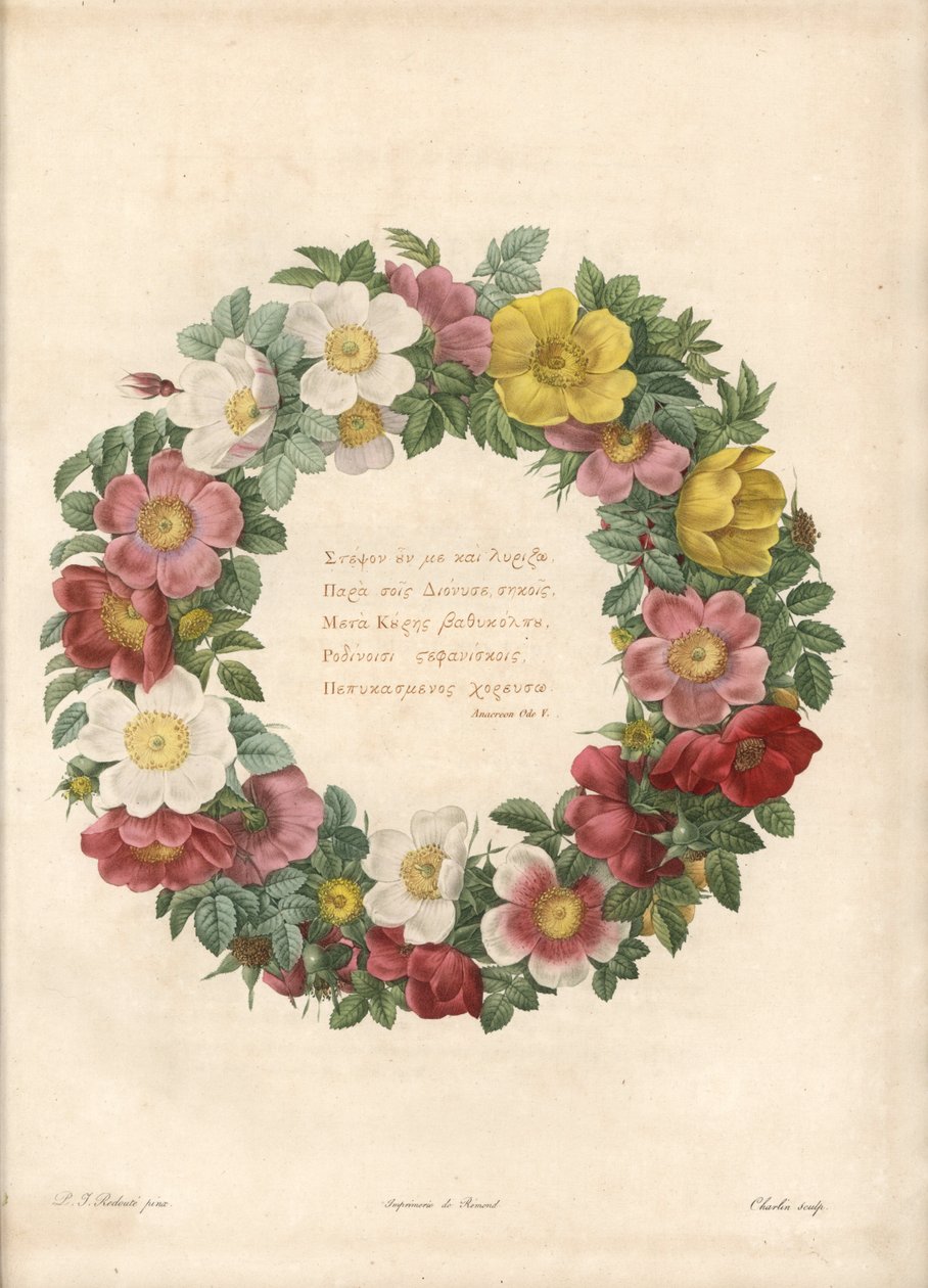 Krone av roser med et gresk motto - Eau forte av Charlin, etter en illustrasjon av Pierre Joseph Redoute (1759-1840), fra Les Roses av Pierre Joseph Redouté