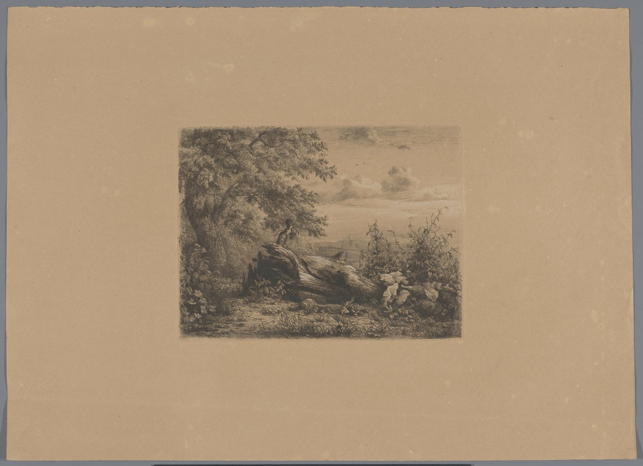Falt tre på kanten av skog Fem etseprøver (serietittel) av Pierre Louis Dubourcq (workshop of)