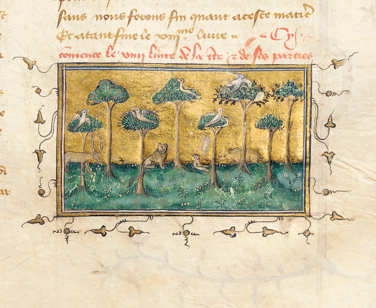 Detalj av en side fra "The Properties of Things" av engelskmannen Bartholomew, i den franske oversettelsen av Jean Corbechon, ca. 1390 av Pierre Remiet