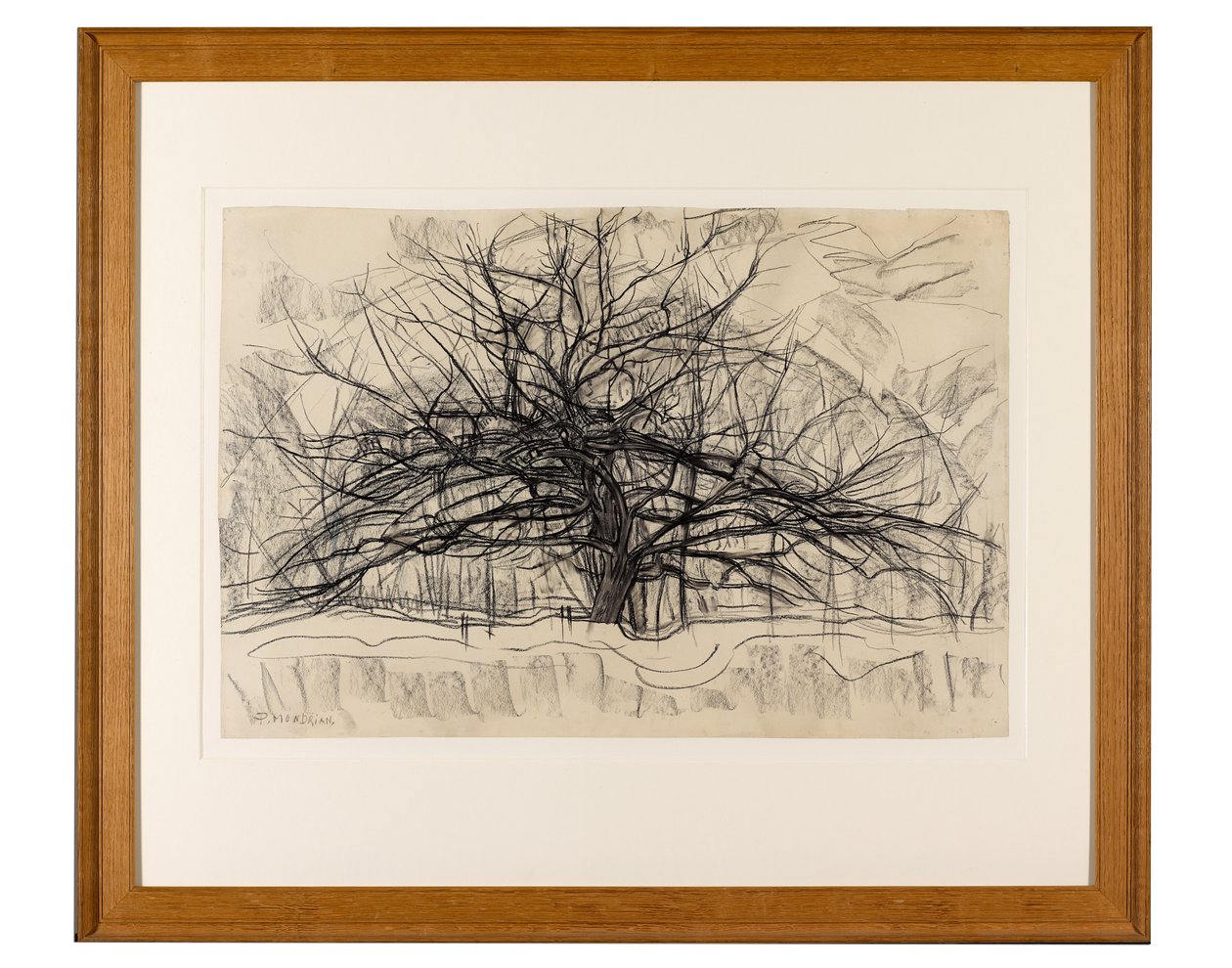 Studie for The Grey Tree, 1911 (svart fargestift på papir) av Piet Mondrian