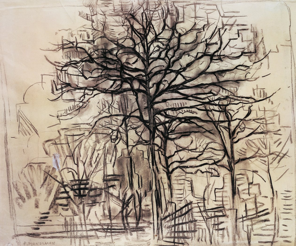 Studie av trær, av Piet Mondrian (1872-1944), tegning i kull og hvit bly. Nederland, 1900-tallet. av Piet Mondrian
