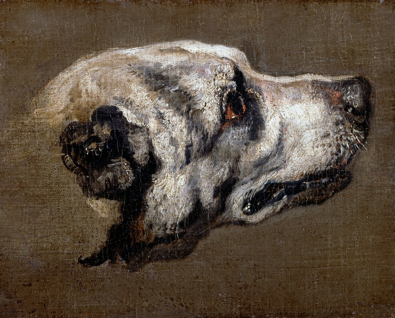 Leder for en hund av Pieter or Peter Boel