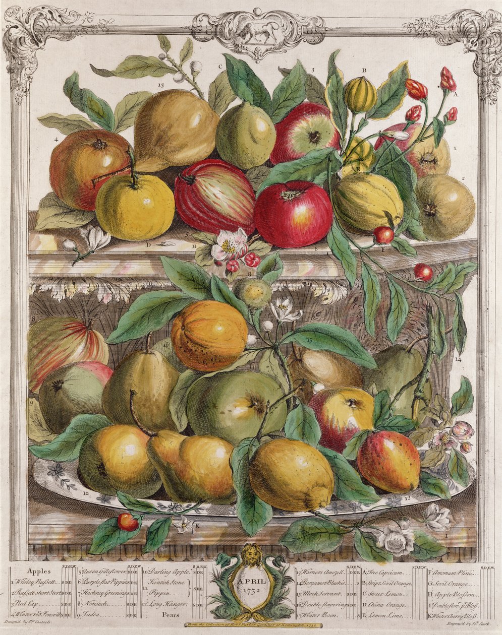 april, fra 'Twelve Months of Fruits', av Robert Furber (ca. 1674-1756) gravert av J. Clark, 1732 av Pieter Casteels