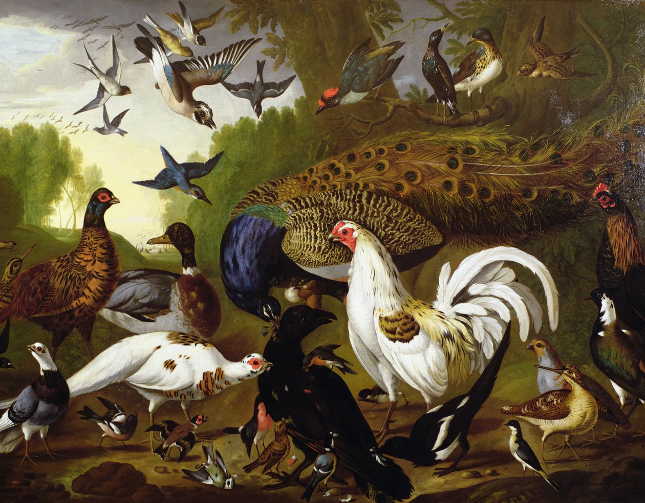 Fabelen om ravnen med en påfugl, hane, hakkespett, Jay, Woodcock og Magpie av Pieter Casteels