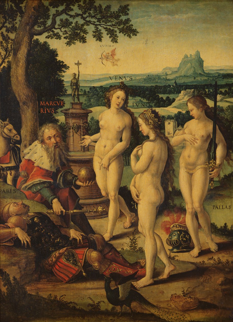Drømmen om Paris av Pieter Coecke van Aelst