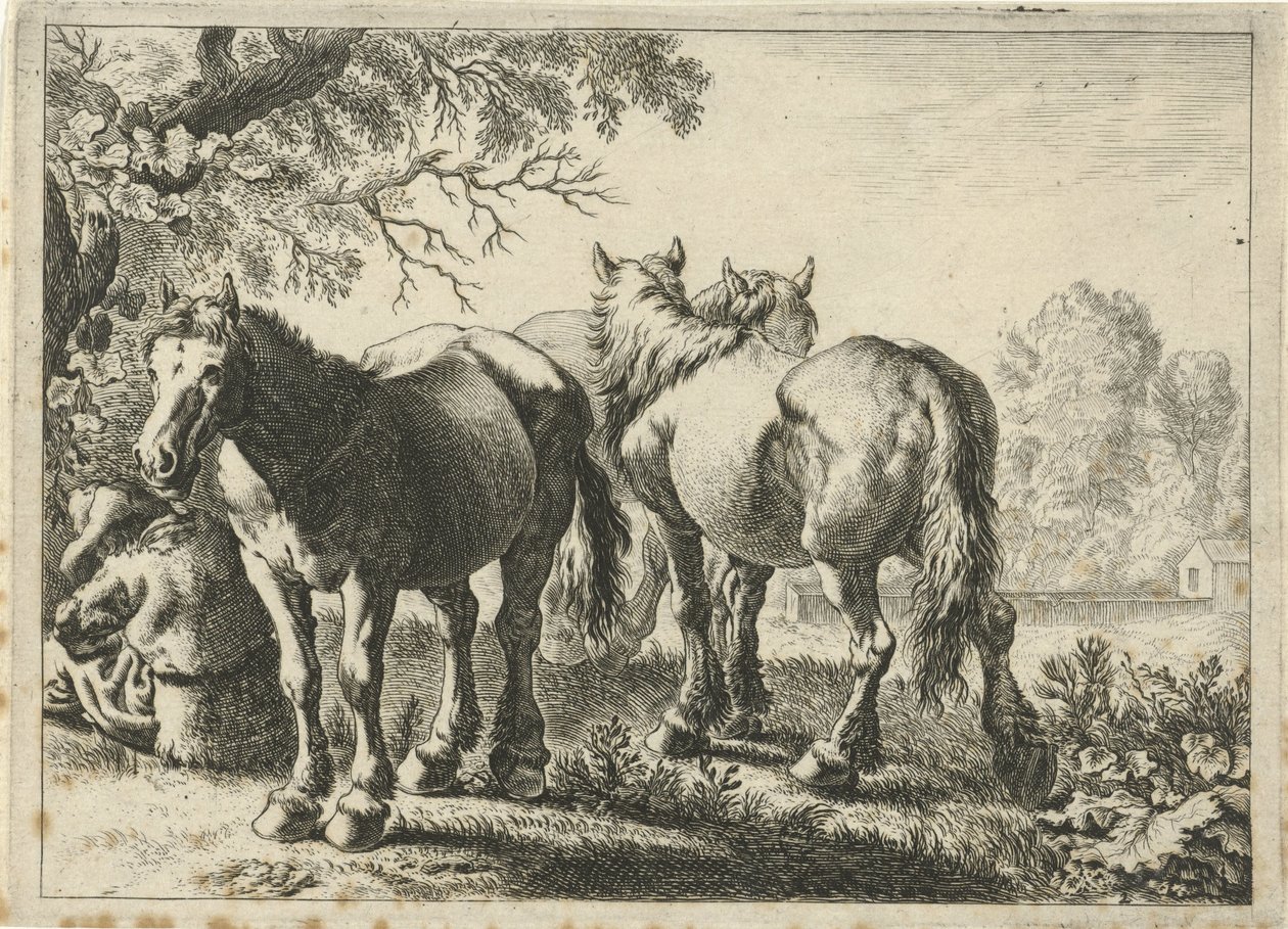 Tre hester og en bonde Forskjellige dyr (serietittel) av Pieter Bodding van Laer