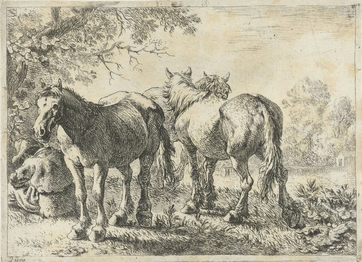 Tre hester og en bonde Forskjellige dyr (serietittel) av Pieter Bodding van Laer