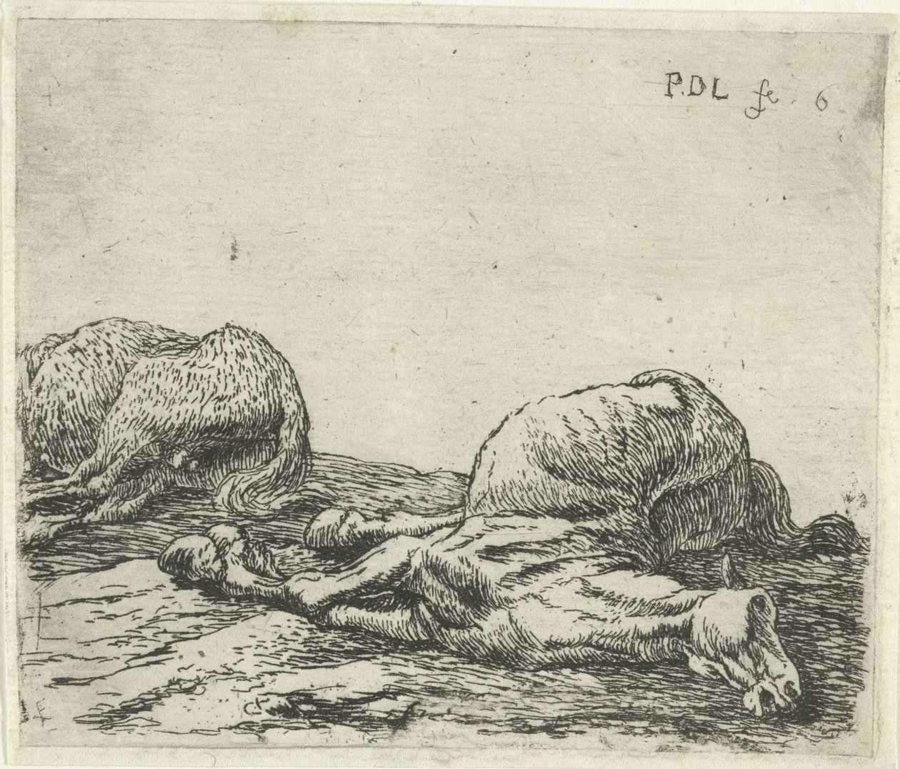 To døde hester Hester (serietittel) av Pieter Bodding van Laer