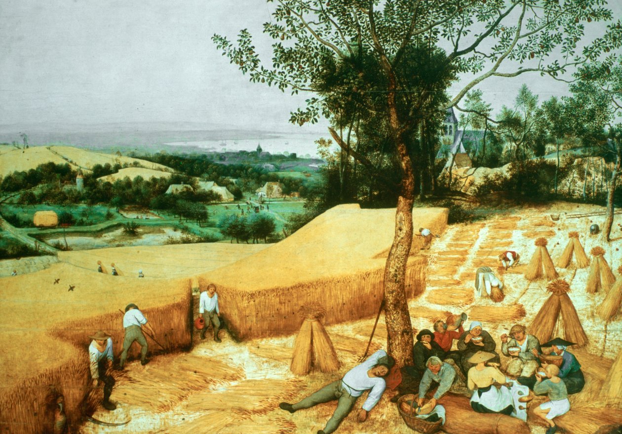 The Harvesters, 1565 av Pieter Bruegel the Elder