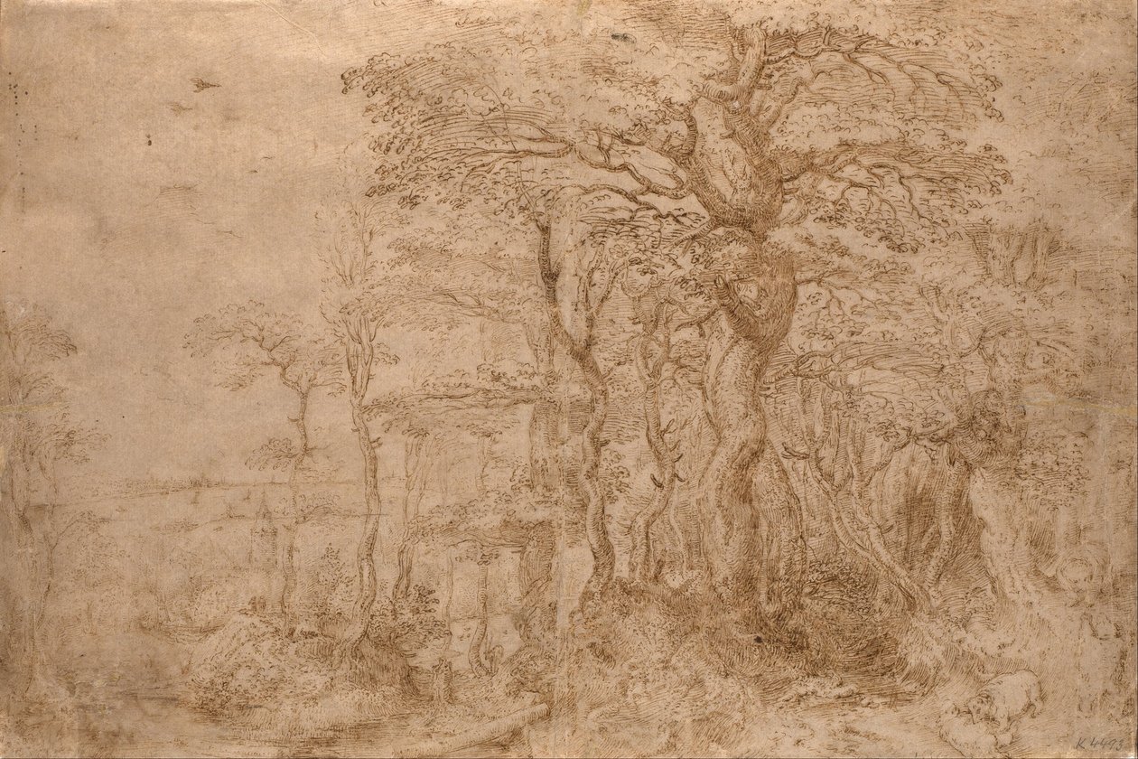 Sylvan landskap med fem bjørner av Pieter Bruegel the Elder