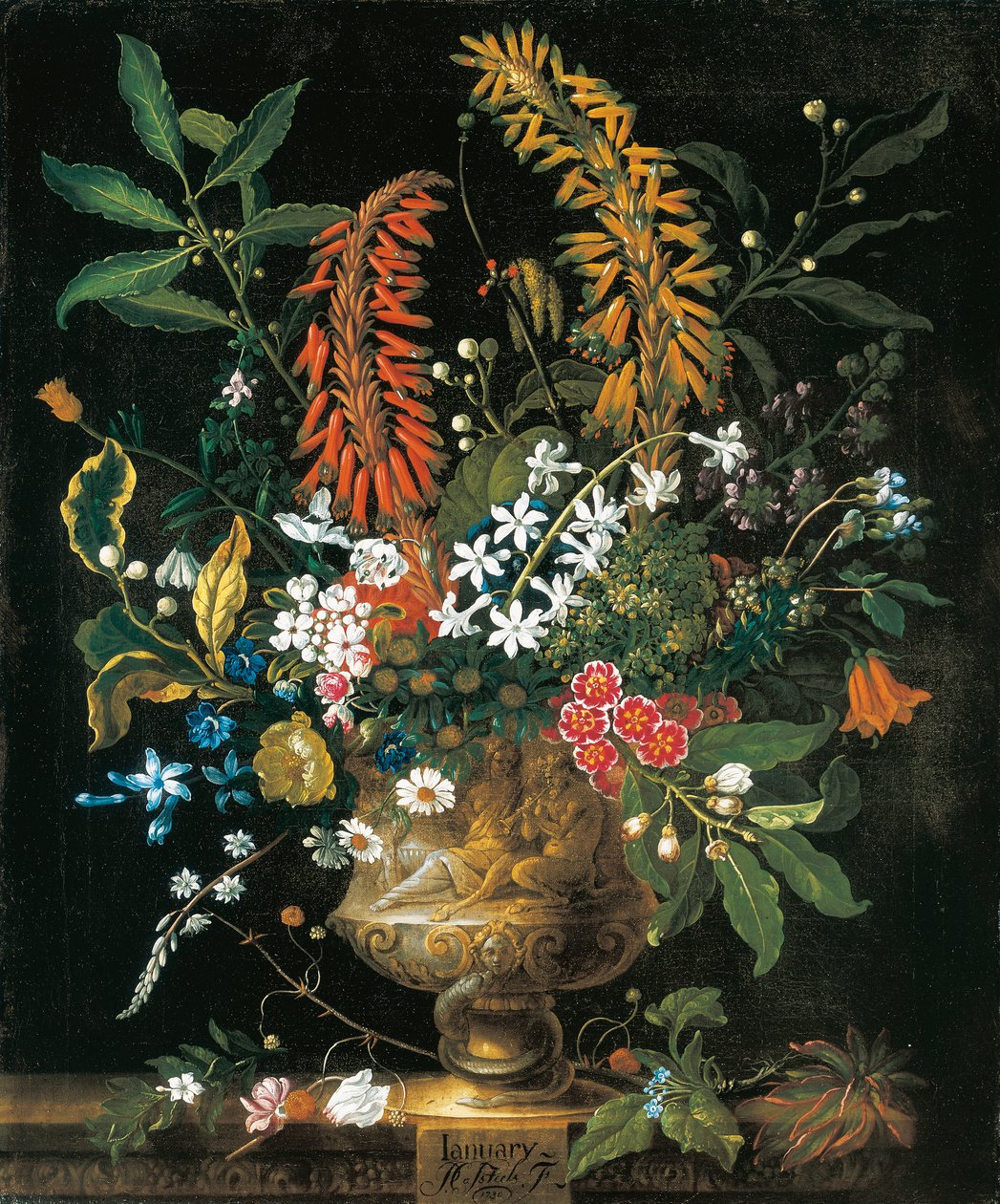 januar, fra The Twelve Months of Flowers, en blomsterkalender med stilleben av Pieter Casteels