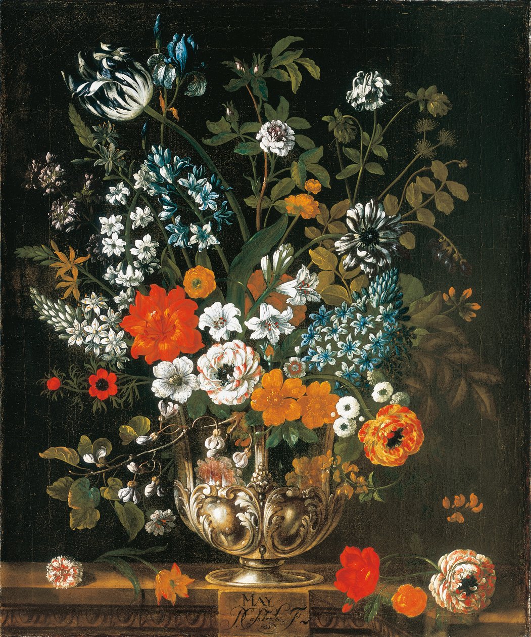 mai, fra The Twelve Months of Flowers, en blomsterkalender med stilleben av Pieter Casteels