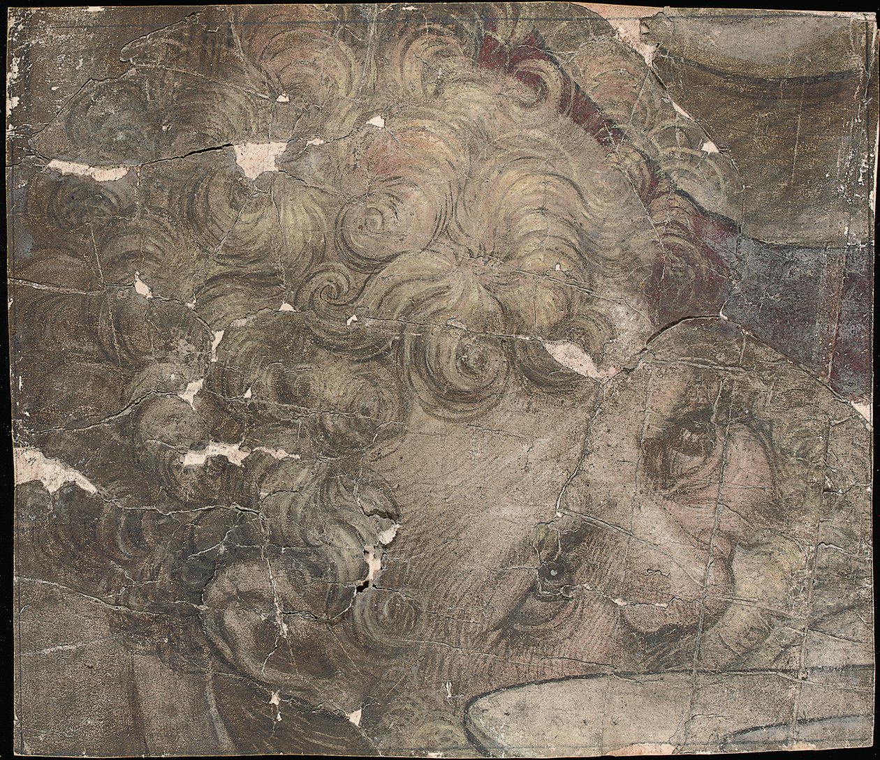 Hodet til en skjeggete mann ser oppover av Pieter Coecke van Aelst