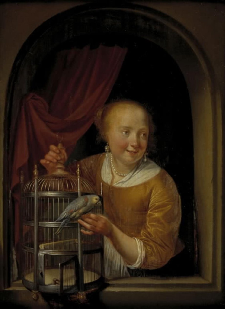 Jente med en papegøye av Pieter Cornelisz. van Slingelandt
