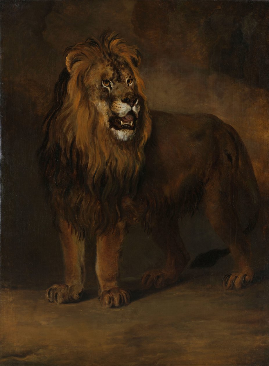 En løve fra menasjeriet til kong Louis Napoleon, 1808 av Pieter Gerardus van Os