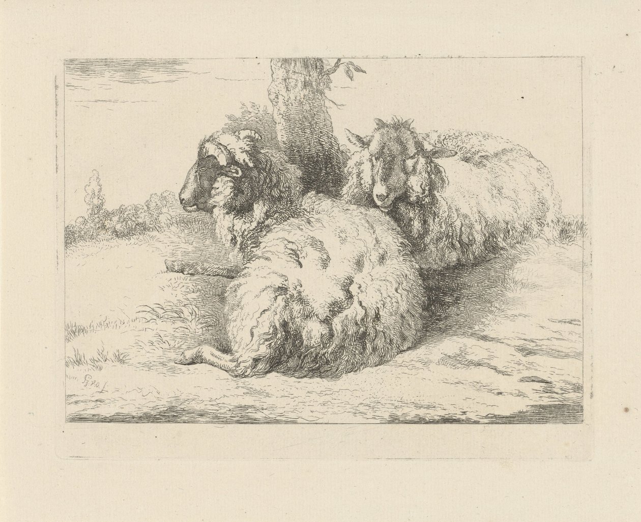 liggende sauer Sauer og geiter (serietittel) av Pieter Gerardus van Os