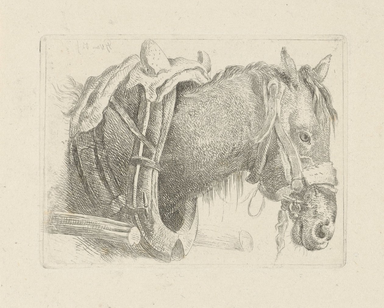 Studie av et hestehode av Pieter Gerardus van Os