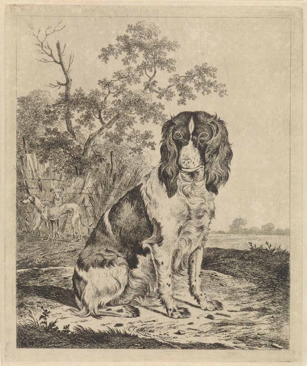 Sittende rapphønehund av Pieter Janson