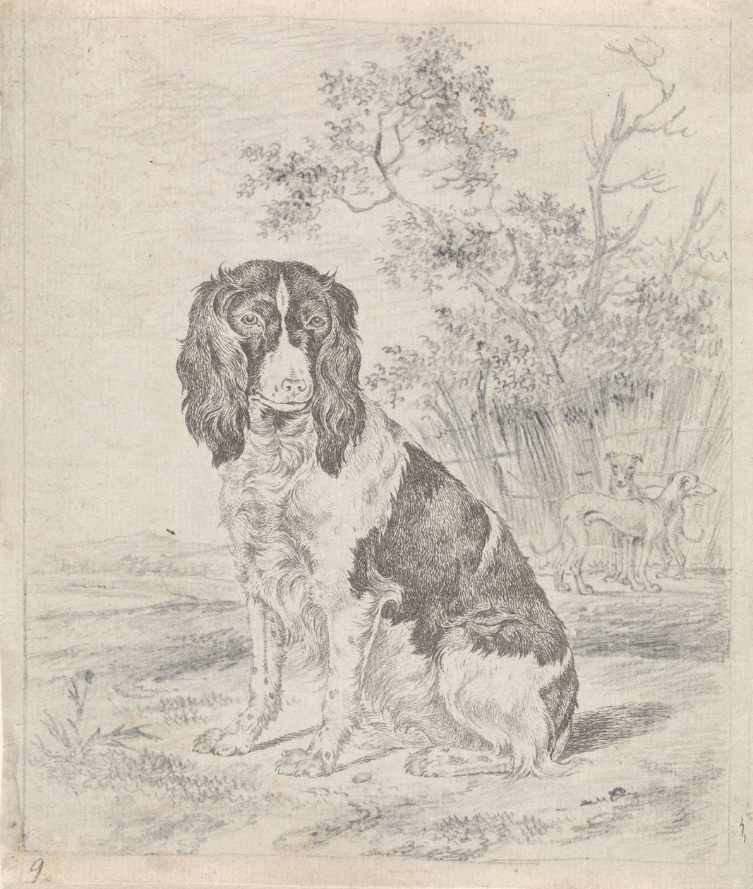 Sittende rapphønehund av Pieter Janson