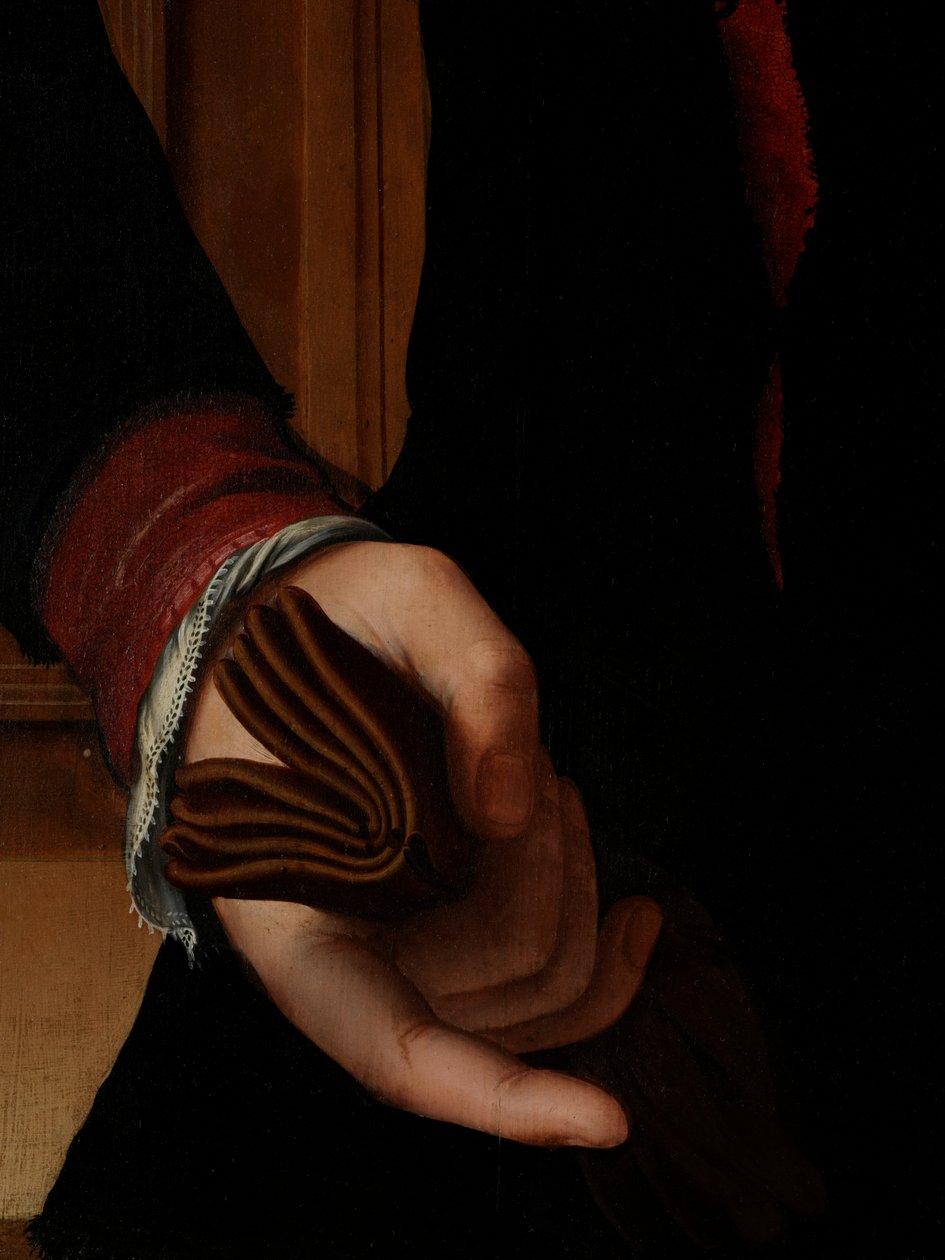 Detalj av portrett av Jan van Eyewerve av Pieter Jansz. Pourbus