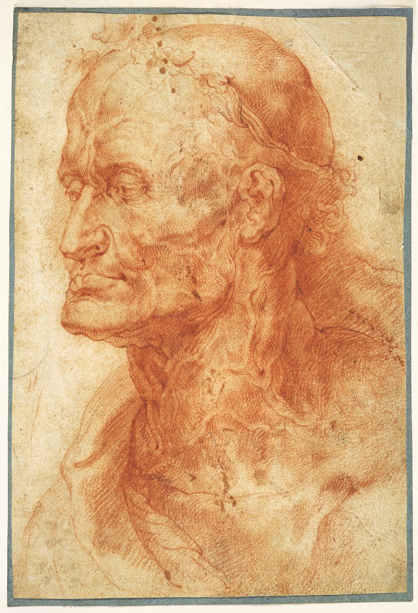 Studie av en gammel manns hode, ca 1602. av Pieter Paul Rubens