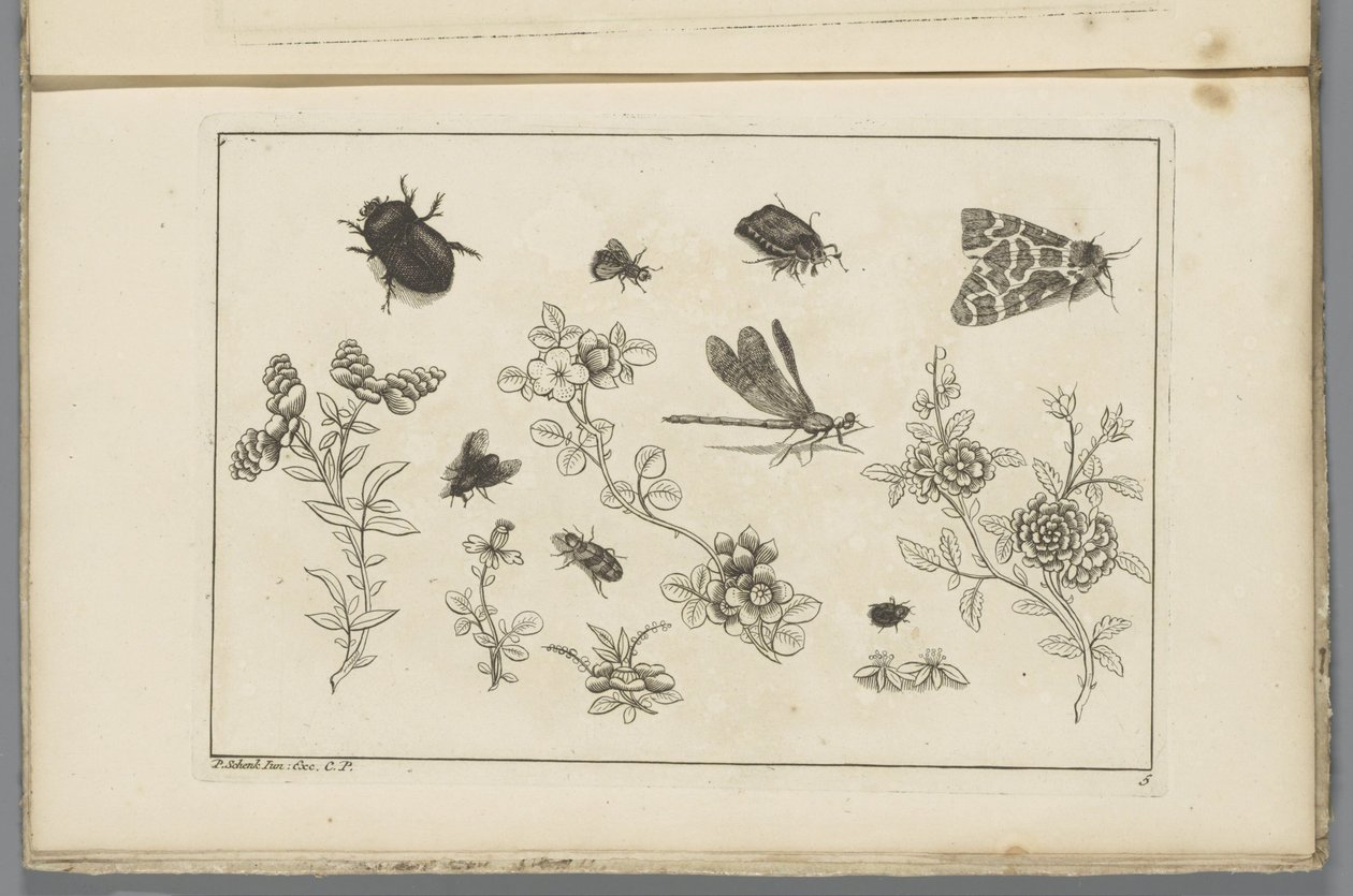 Blomstergrener med insekter Kinesiske blomster og insekter (serietittel) av Pieter Schenk (II)