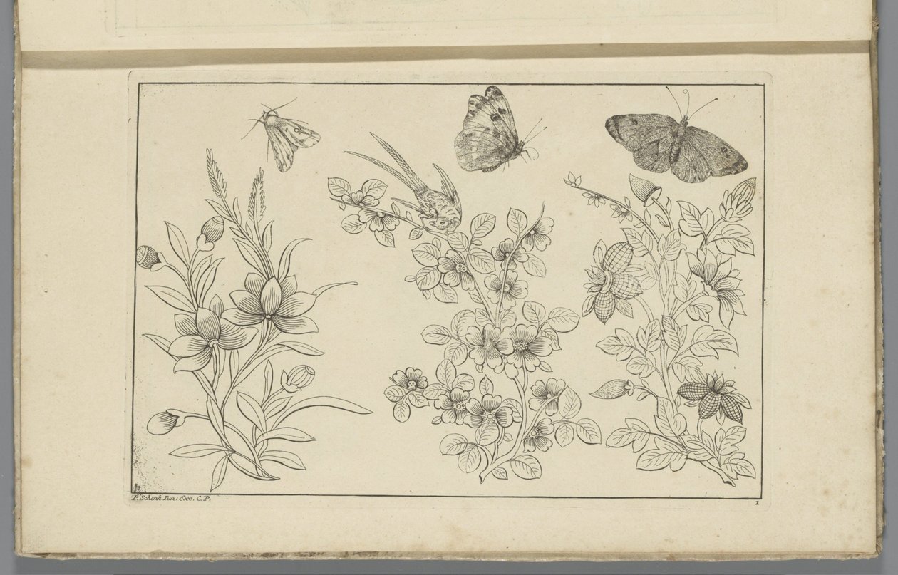 Tre blomstergrener og tre sommerfugler Kinesiske blomster og insekter (serietittel) av Pieter Schenk (II)