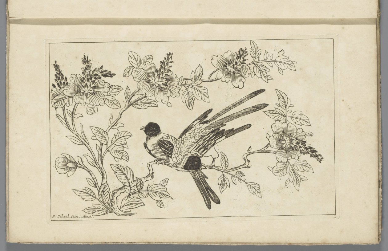 To fugler på en blomstrende gren Kinesiske blomster og fugler (serietittel) av Pieter Schenk (II)