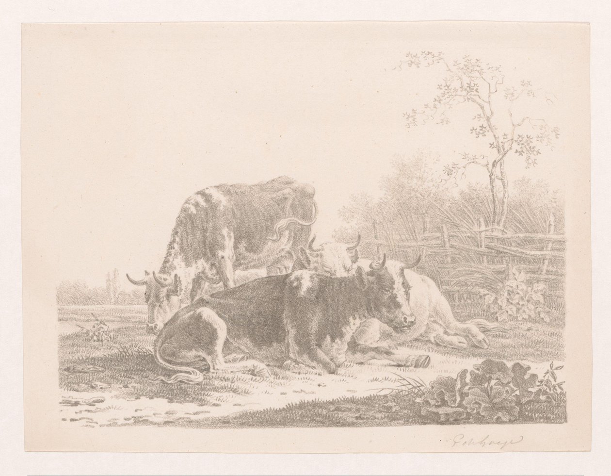 Tre kyr i en eng ved et gjerde av Pieter de Goeje