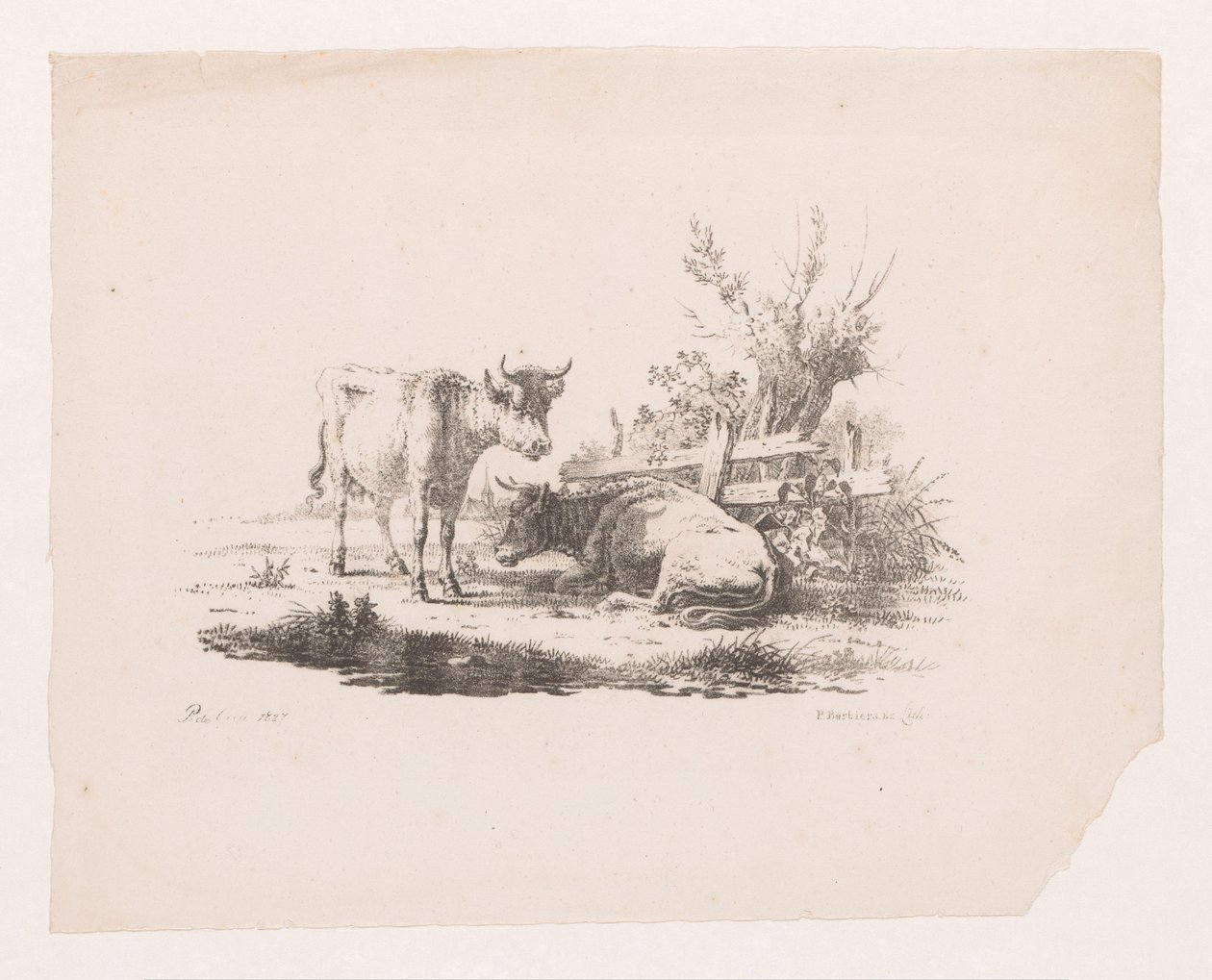 To kyr ved et gjerde og ei pil av Pieter de Goeje
