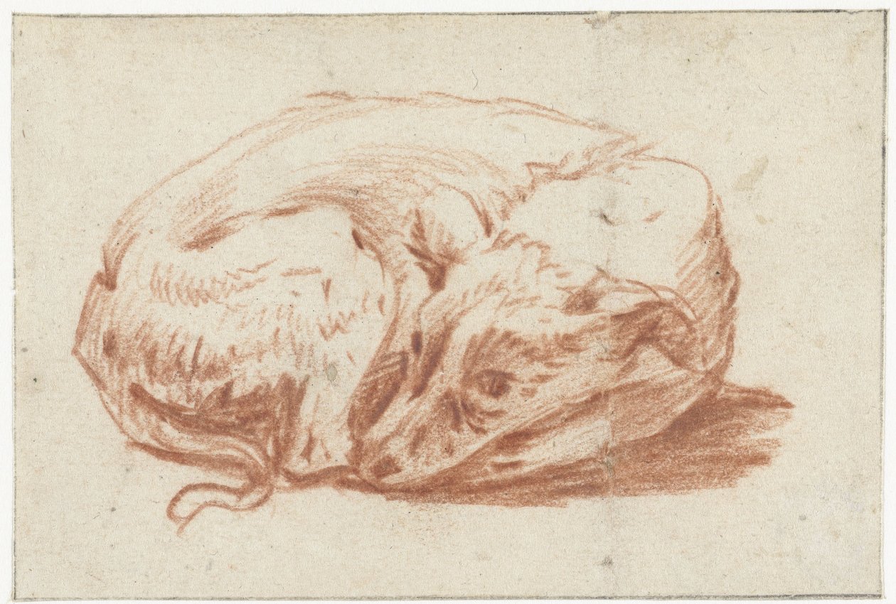 liggende hund av Pieter van Bloemen