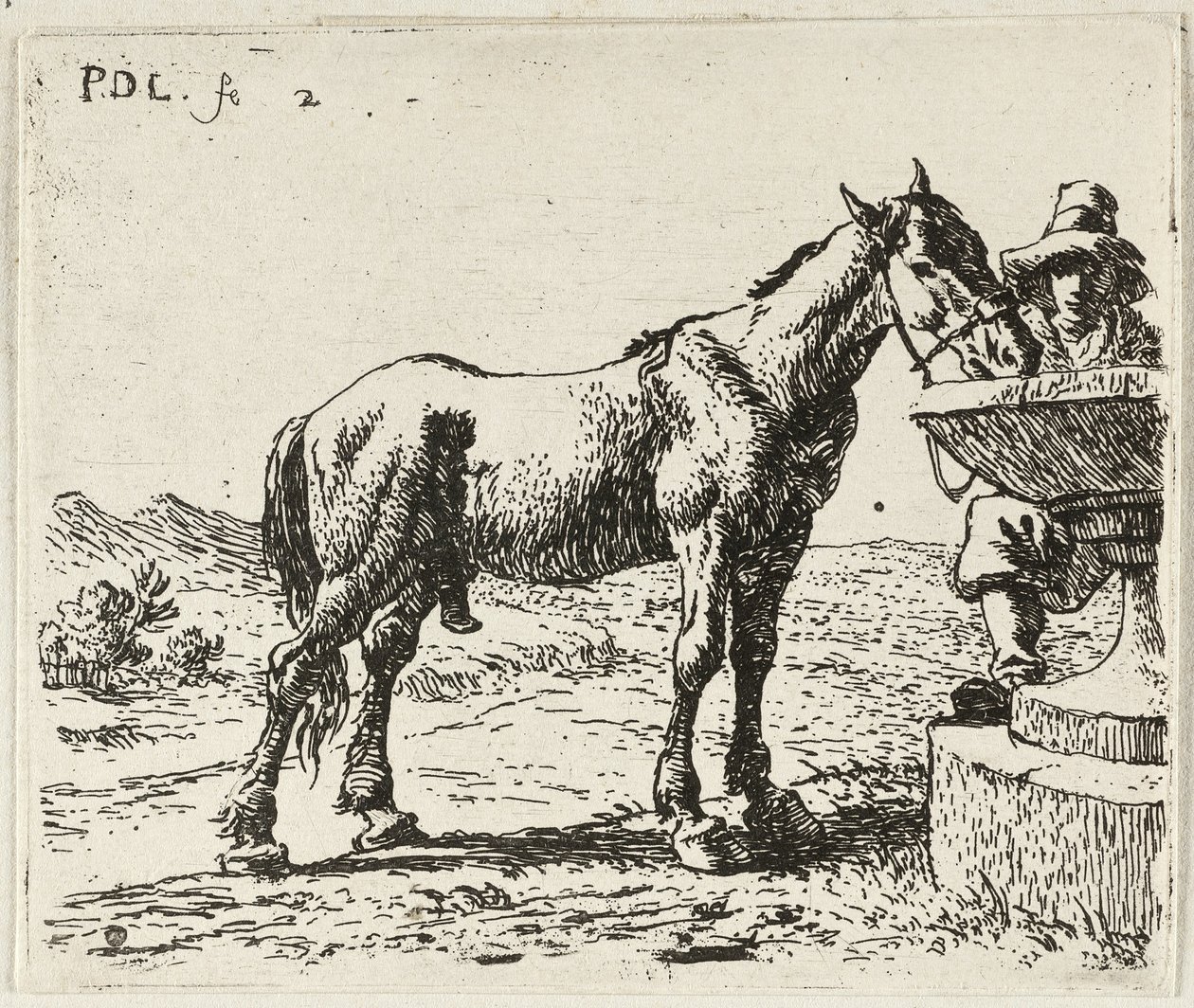  av Pieter van Laer