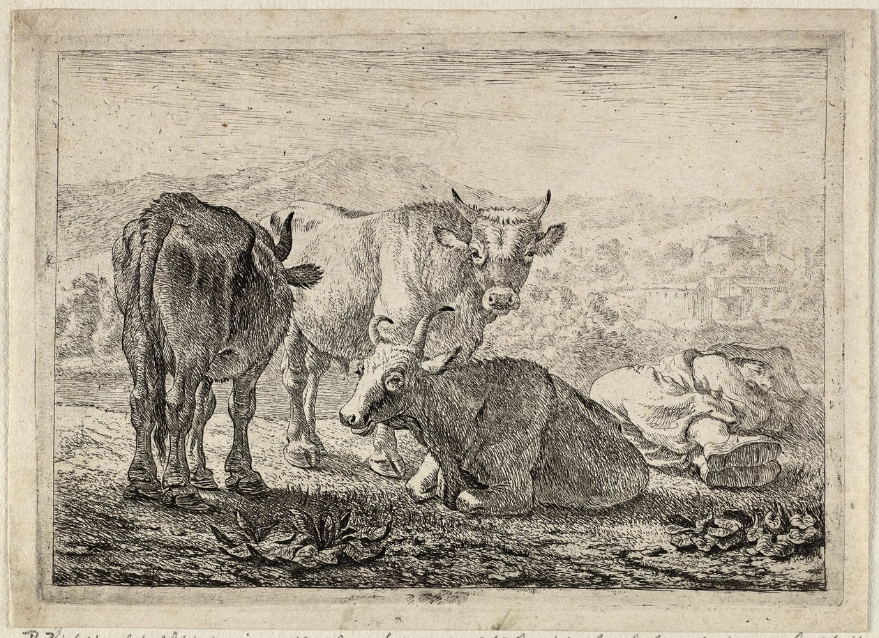  av Pieter van Laer